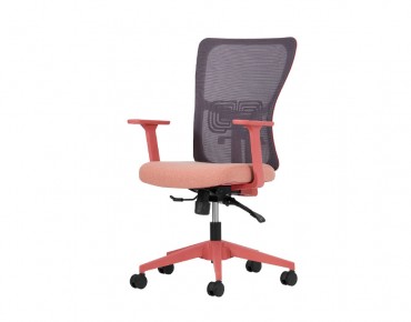 Lumbar Çalışma Koltuğu