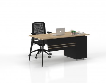 MİLAS STUDY DESK WITH CASESON