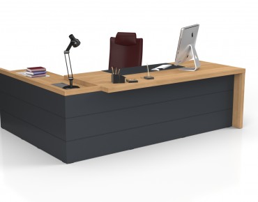 MONTANA EXECUTIVE DESK