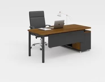 TANYA STUDY DESK