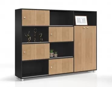 TANYA BOOKSHELF